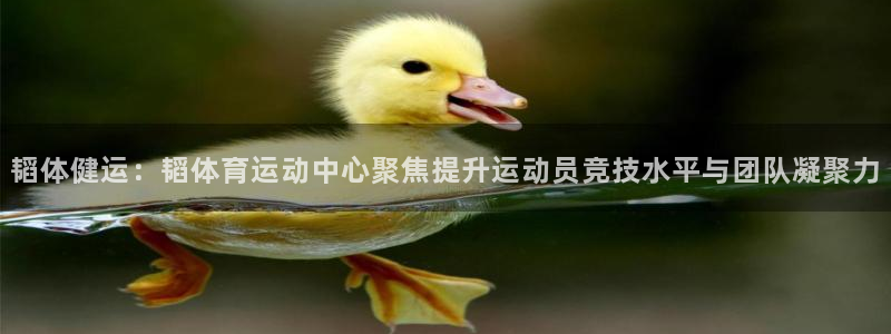 球速体育：韬体健运：韬体育运动中心聚焦提升运动员竞技水平与团队凝聚力