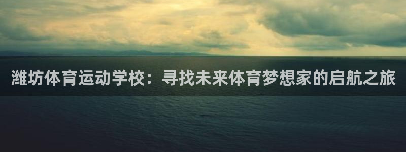 球速体育：潍坊体育运动学校：寻找未来体育梦想家的启航之旅