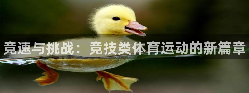 球速体育：竞速与挑战：竞技类体育运动的新篇章