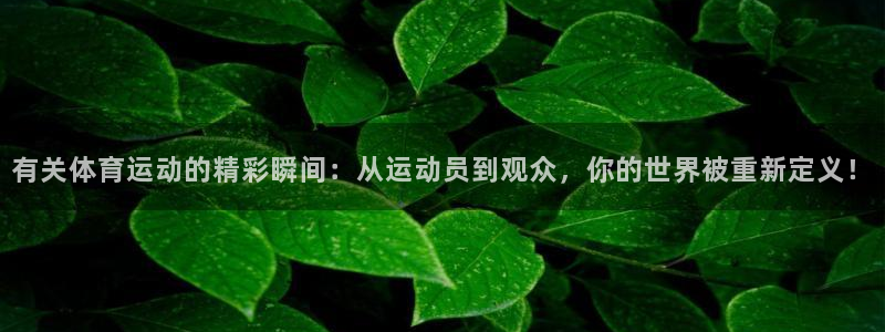 球速体育：有关体育运动的精彩瞬间：从运动员到观众，你的世界被重新定义！