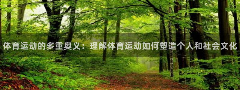 球速体育：体育运动的多重奥义：理解体育运动如何塑造个人和社会文化