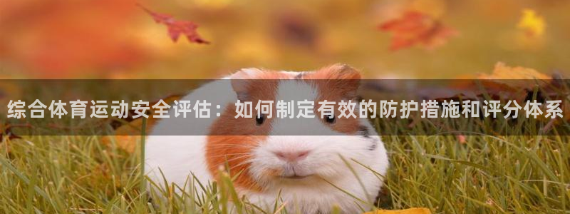 球速体育：综合体育运动安全评估：如何制定有效的防护措施和评分体系