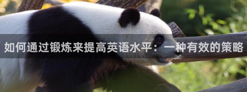 球速体育：如何通过锻炼来提高英语水平：一种有效的策略