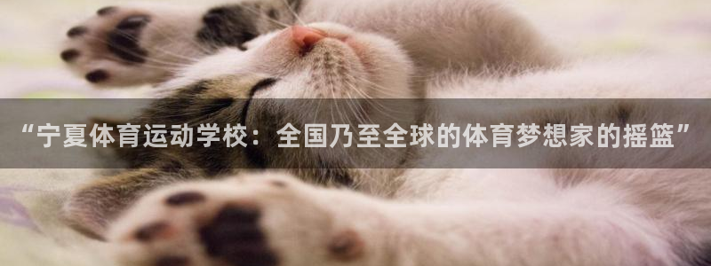 球速体育：“宁夏体育运动学校：全国乃至全球的体育梦想家的摇篮”