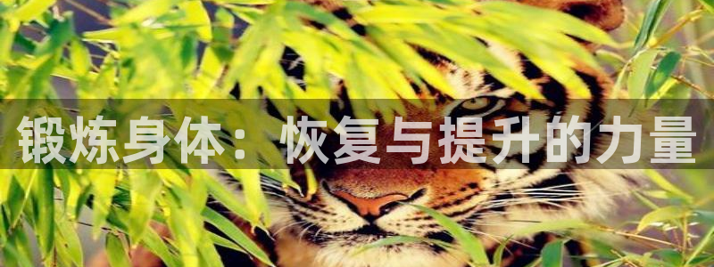 球速体育：锻炼身体：恢复与提升的力量