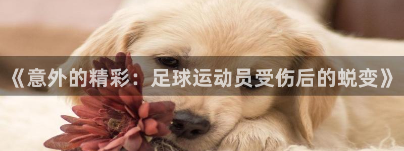 球速体育：《意外的精彩：足球运动员受伤后的蜕变》