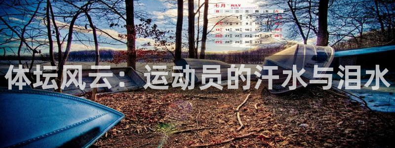 球速体育：体坛风云：运动员的汗水与泪水