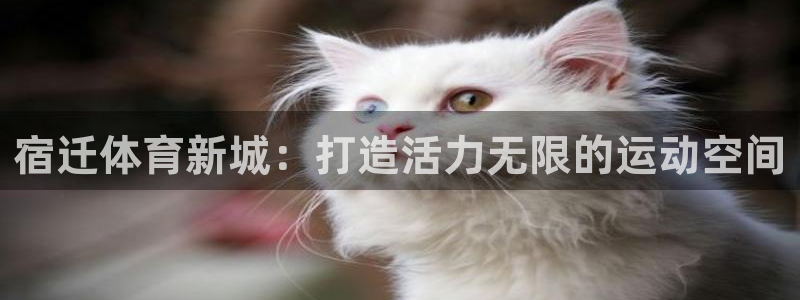 球速体育：宿迁体育新城：打造活力无限的运动空间
