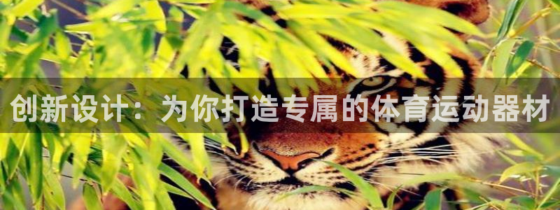 球速体育：创新设计：为你打造专属的体育运动器材